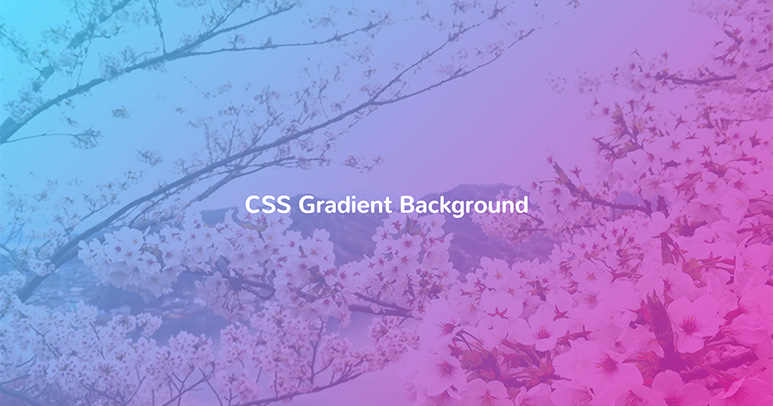 美しいグラデーションをCSSで実装！配色に使える便利ツールや実例も 